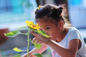 El diagnóstico temprano del autismo: cómo evaluar el neurodesarrollo temprano y su relevancia en el pronóstico.
