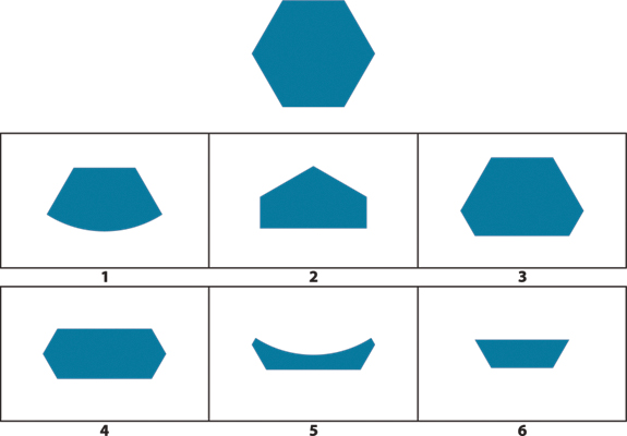 Puzles visuales WISC V